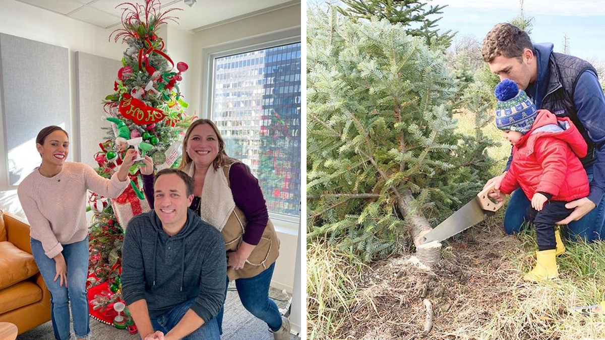 Top 10+ Places to Get a Christmas Tree in Lake County 2025