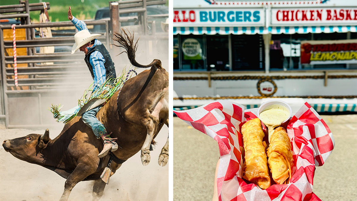 6 Things You Can't-Miss at the 96th Annual Lake County Fair