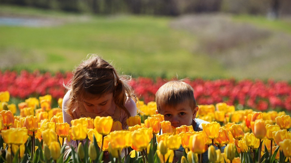 Spring Festivals in Lake County, IL 2026