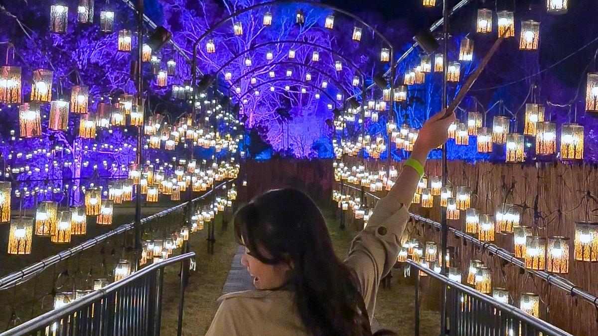 Harry Potter™: A Forbidden Forest Experience
