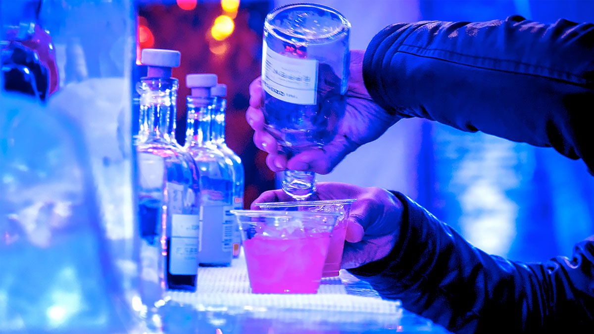 Cocktails Under the Lights at Chicago Botanic Garden