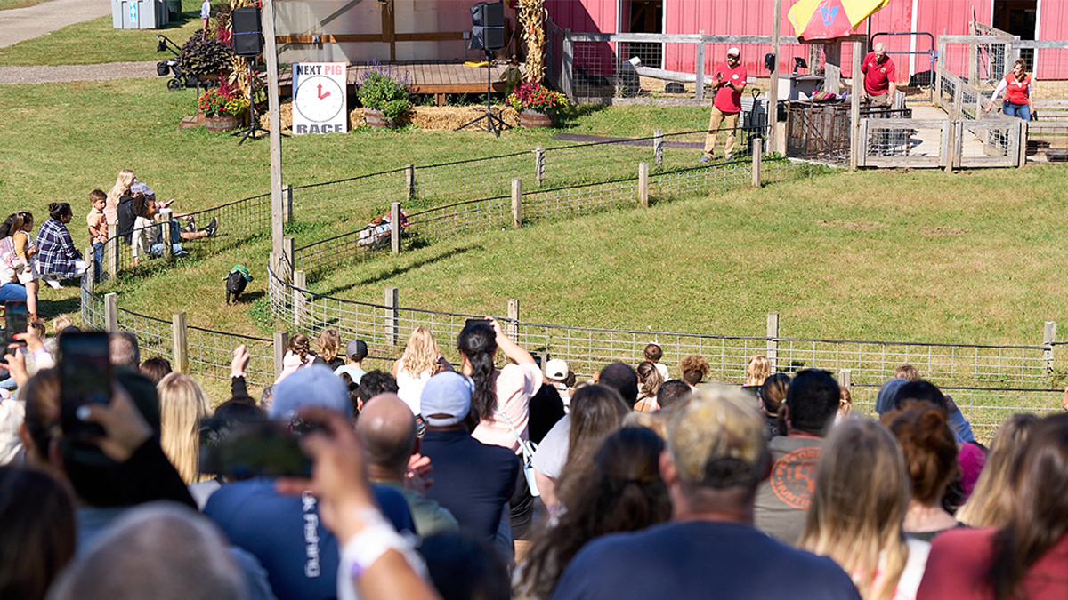 Richardson Adventure Farm Corn Maze