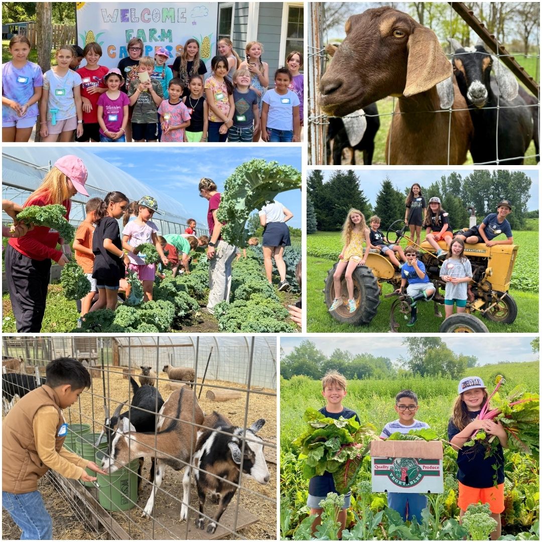 Summer Farm Camp at Liberty Prairie