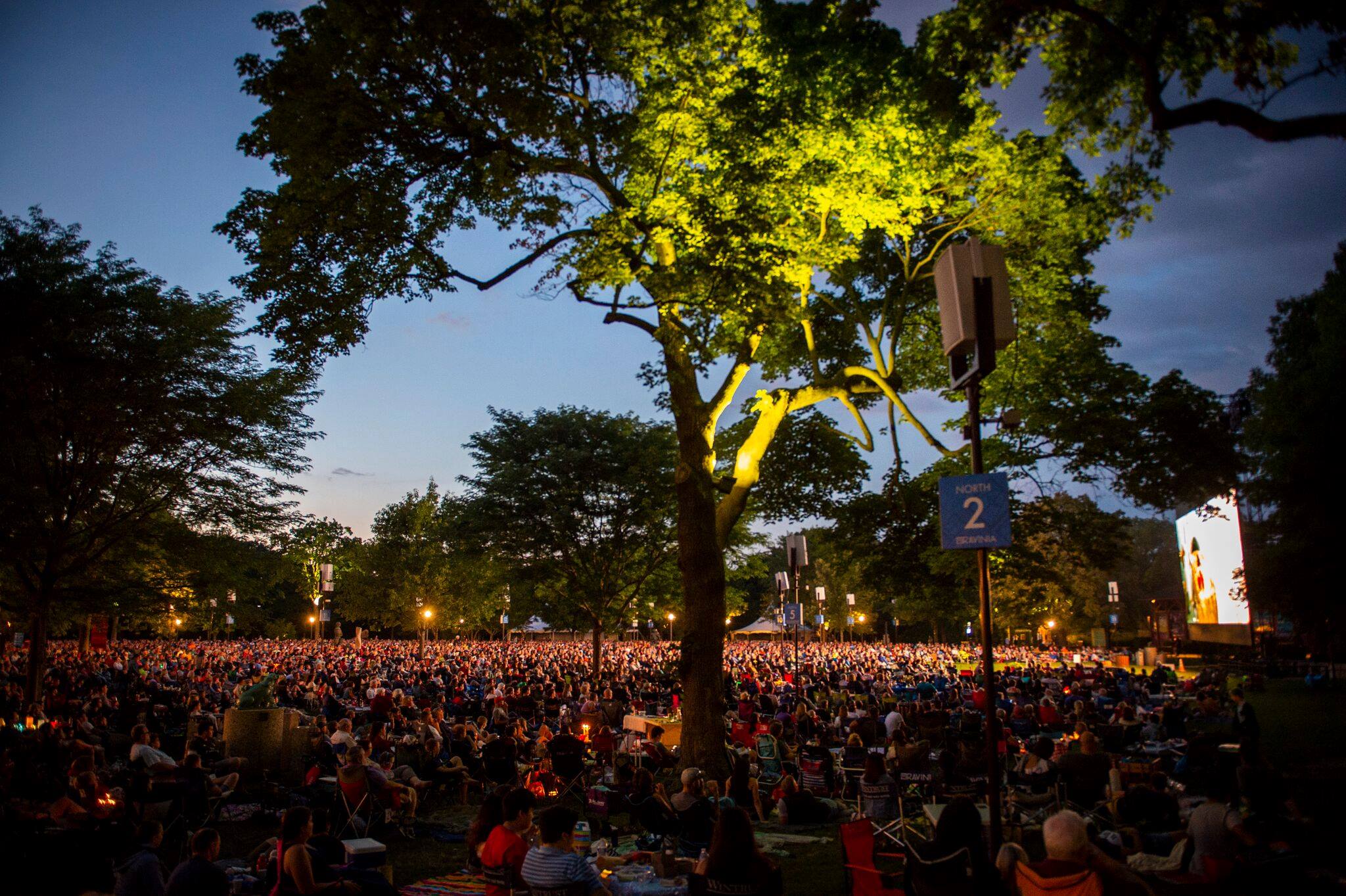 Bach in Brazil with Plínio Fernandes at Ravinia Festival
