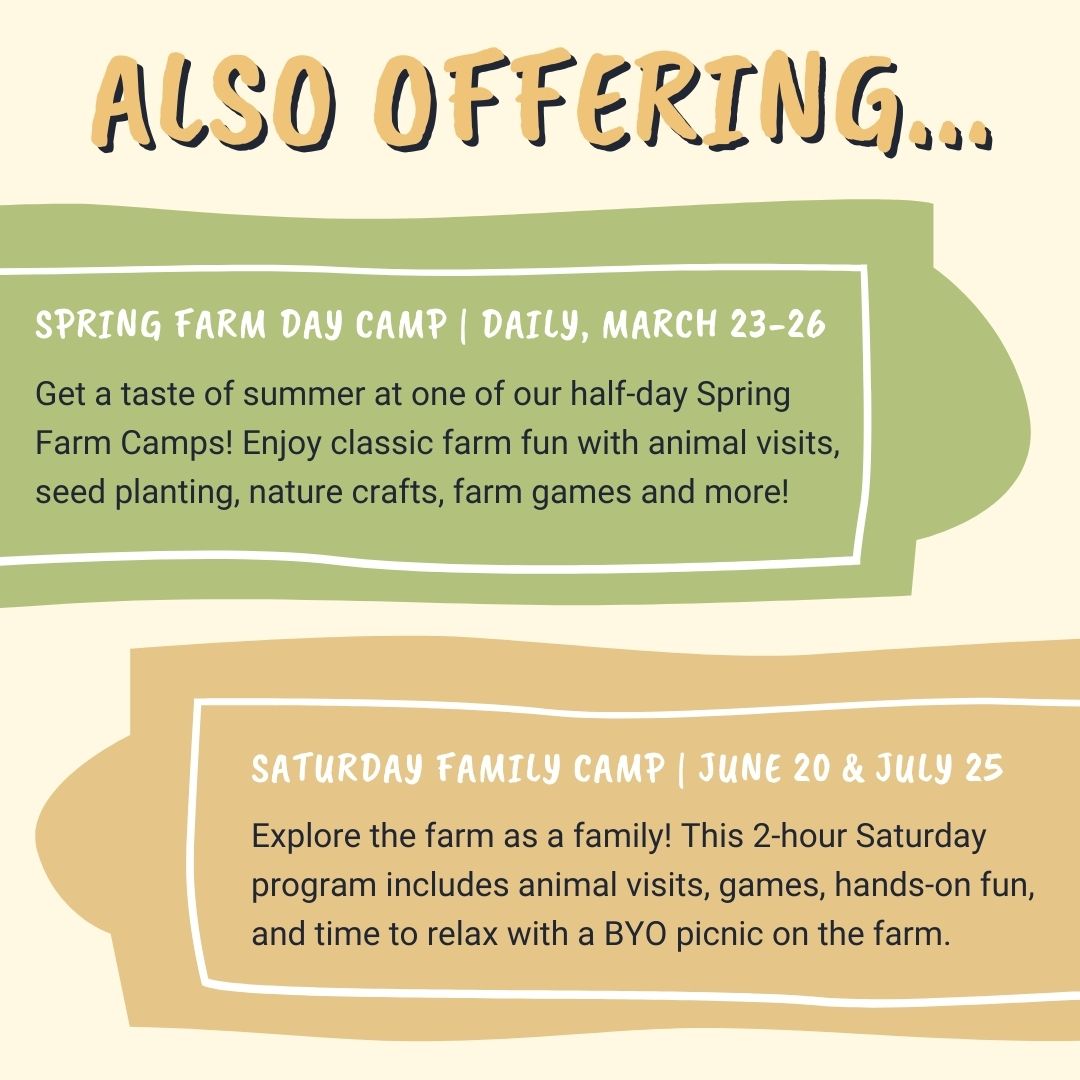 Summer Farm Camp at Liberty Prairie