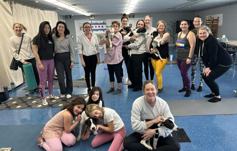 Puppies and Pilates at Lambs Farm