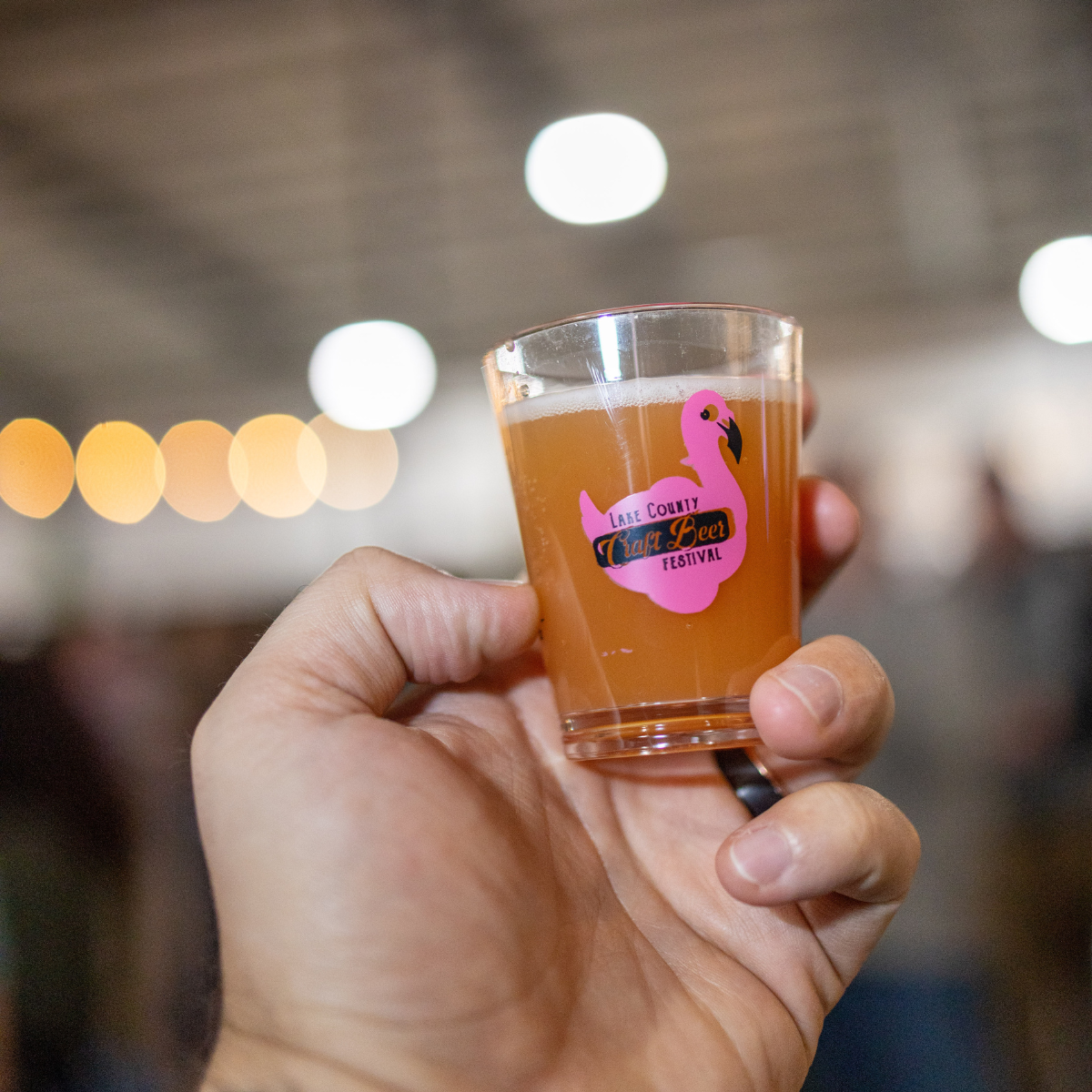 Lake County Beer Fest