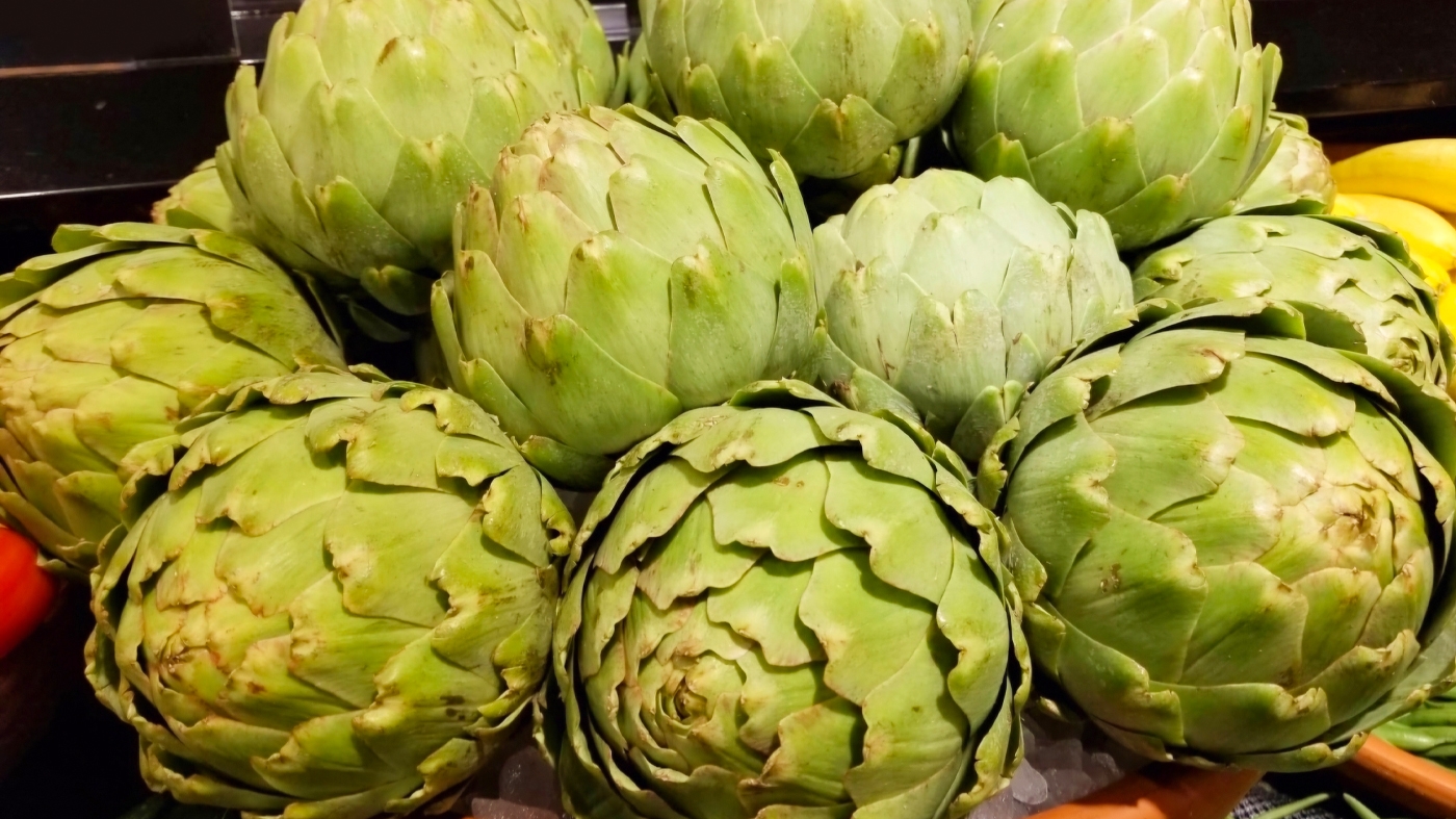 Hands on - Cooking Artichokes at Chicago Botanic Gardens