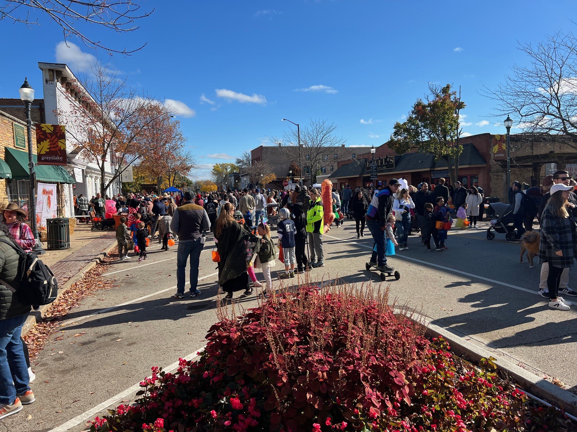 Grayslake Trick or Treat Hours