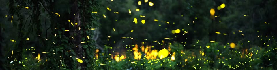 Glow & Gather at Heller Nature Center