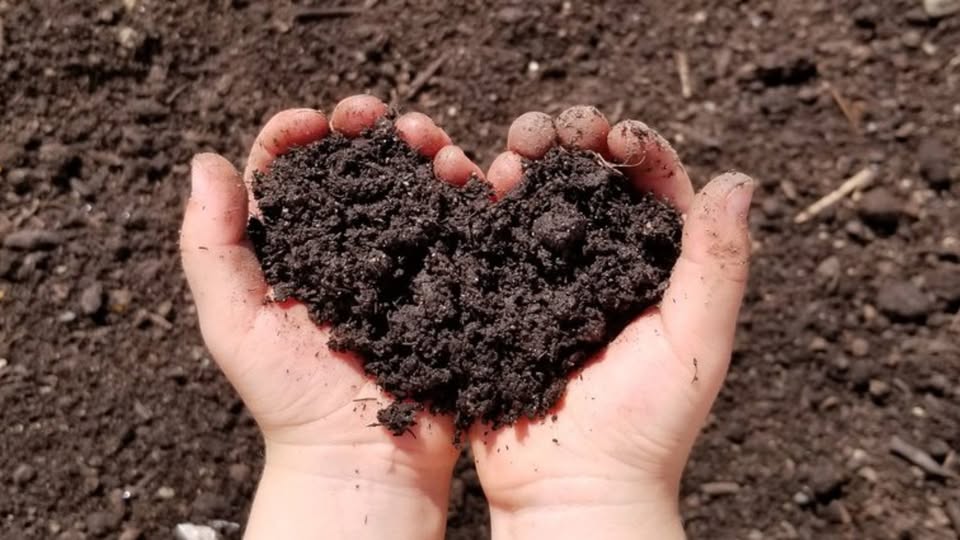 Celebrate Compost Week at Hawthorn
