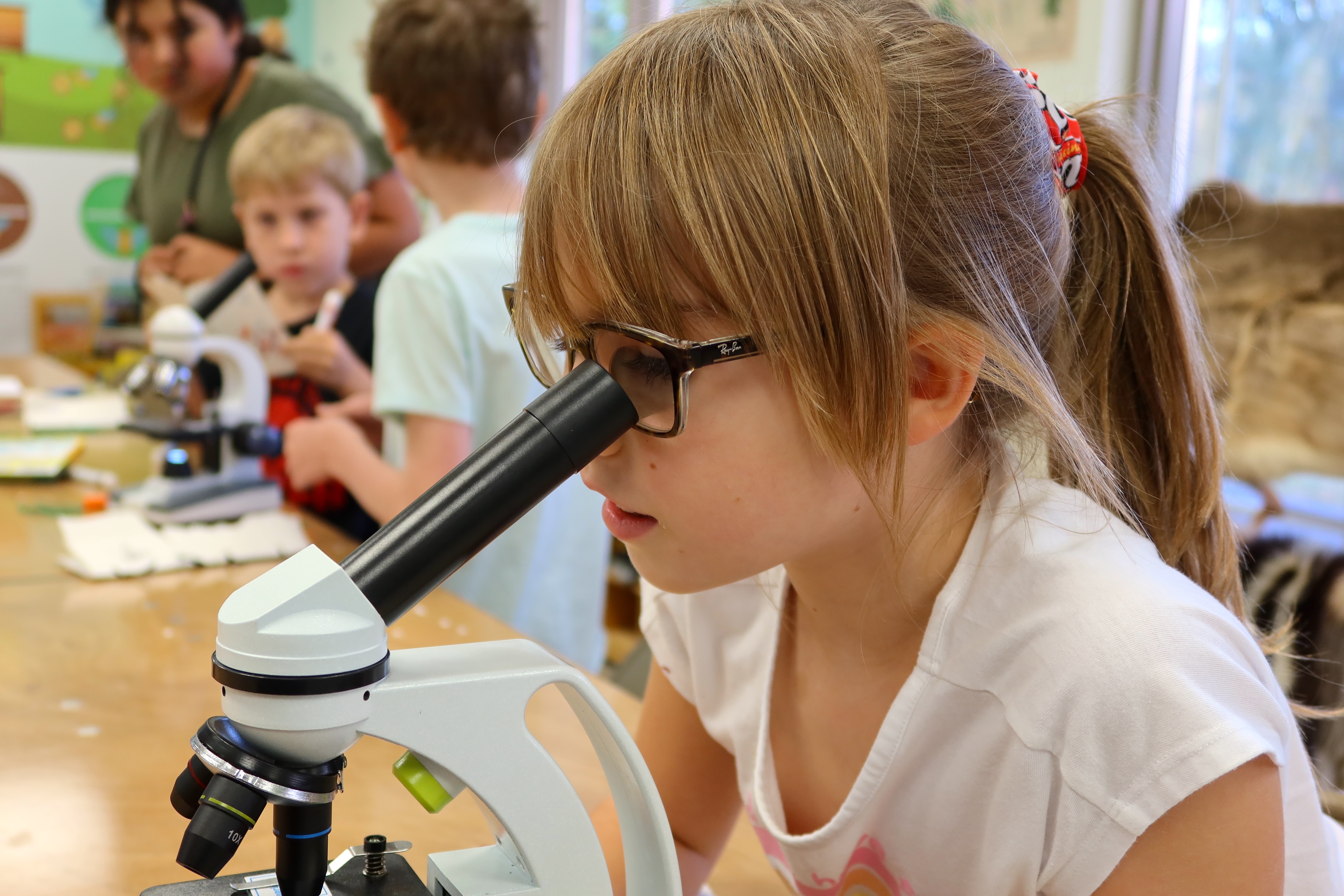 National STEAM Day in Waukegan