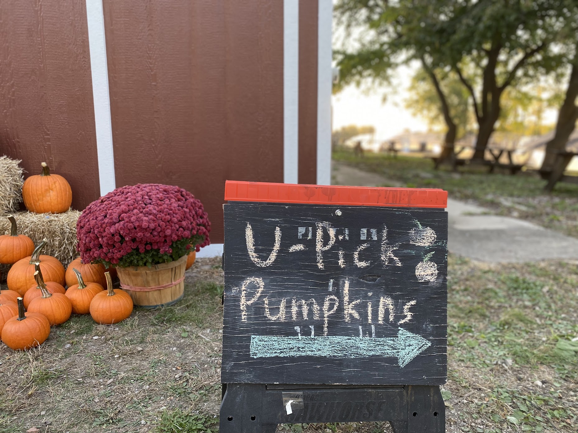 Liberty Prairie Fall Farm Festival