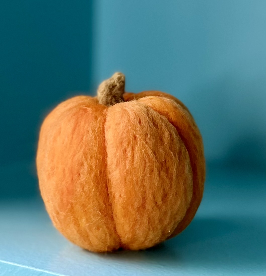 Needle Felt Pumpkin Class at Liberty Prairie