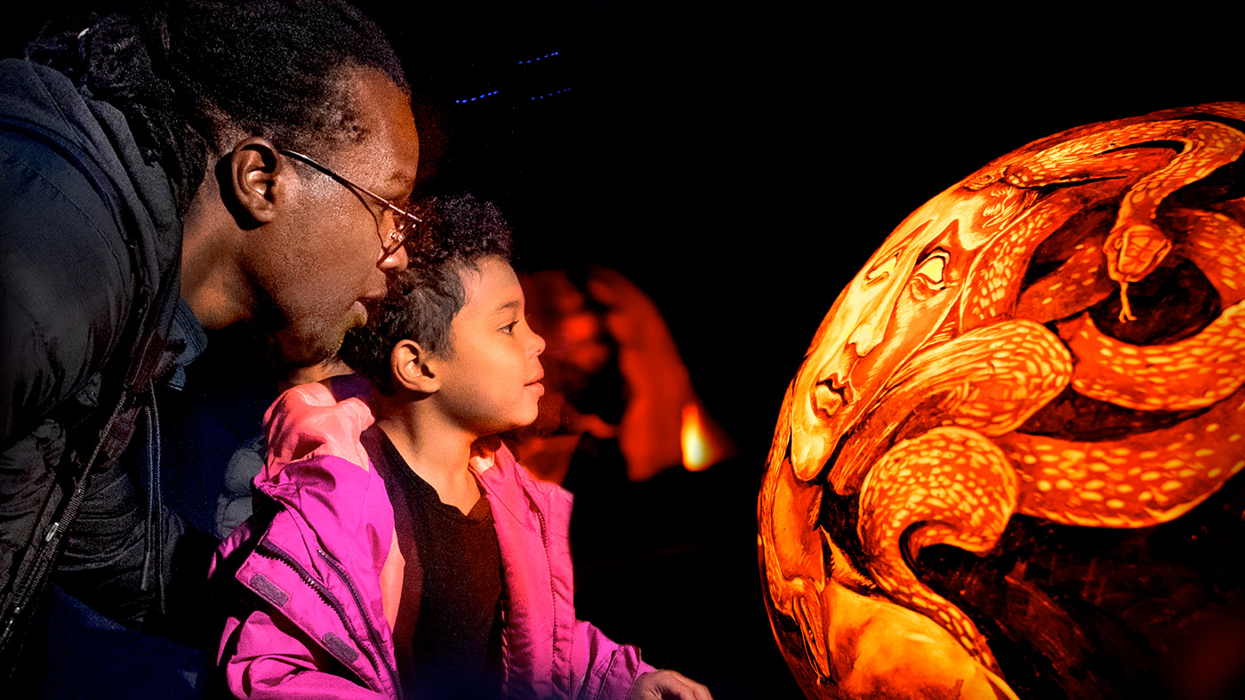 Night of 1,000 Jack-O'-Lanterns at Chicago Botanic Garden