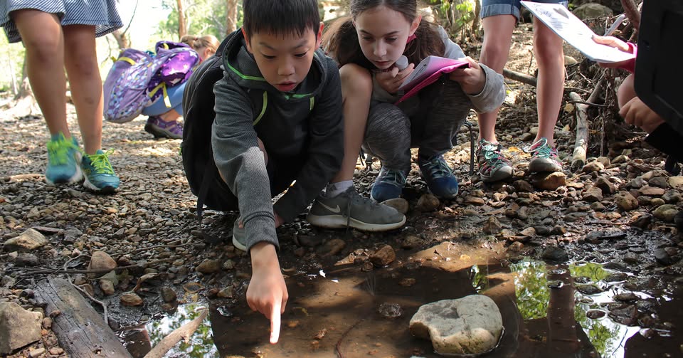 Spiders, Slugs and Really Cool Bugs