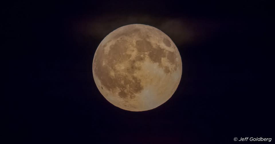 Full Moon Hike at Grant Woods Forest Preserve