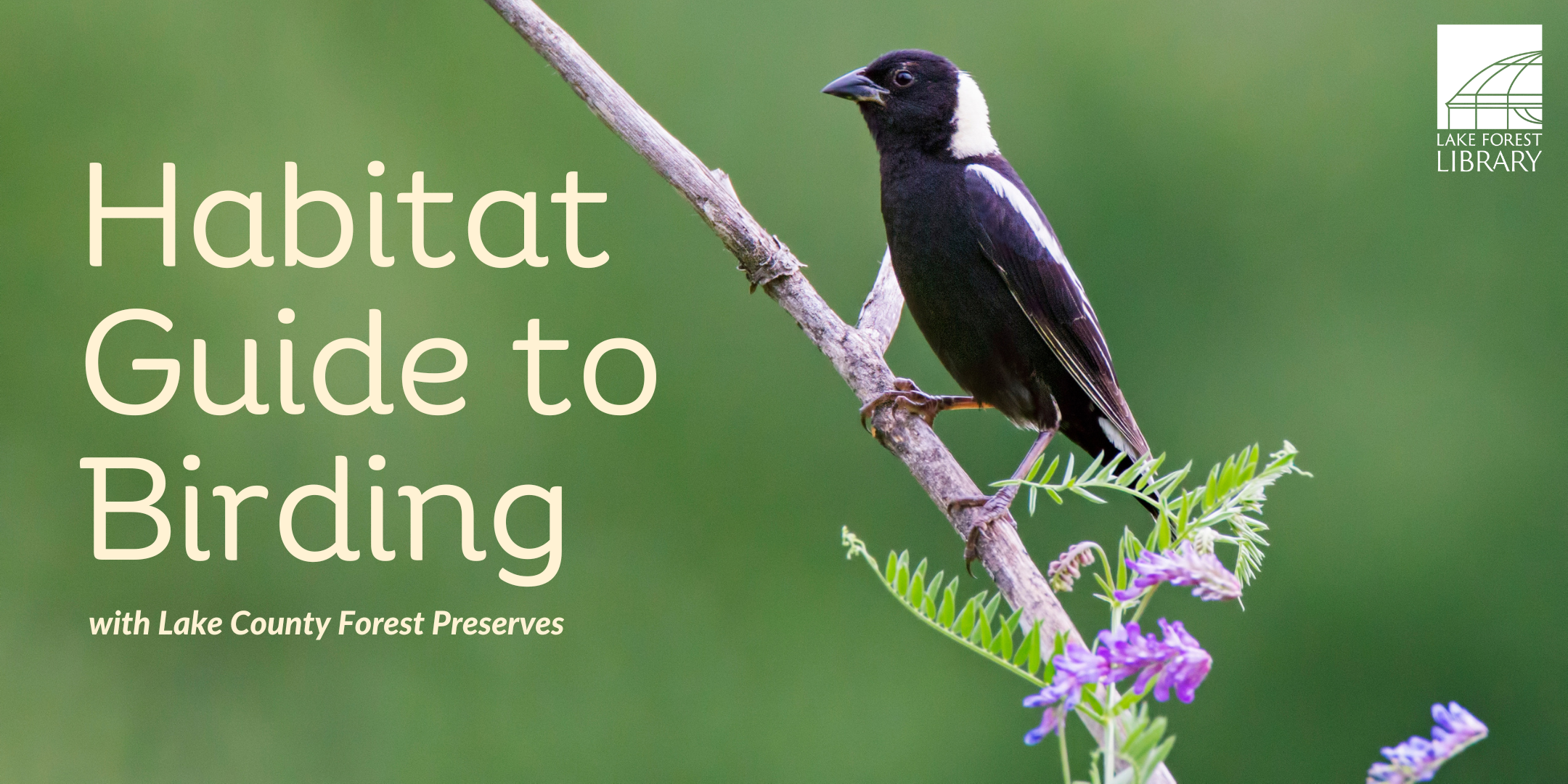 Habitat Guide for Birding at The Lake Forest Library