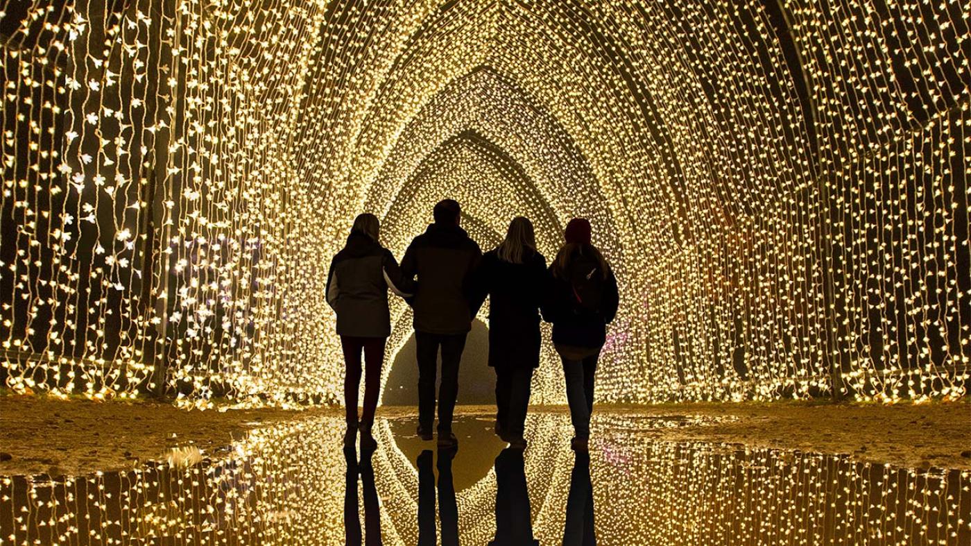 Lightscape at Chicago Botanic Garden
