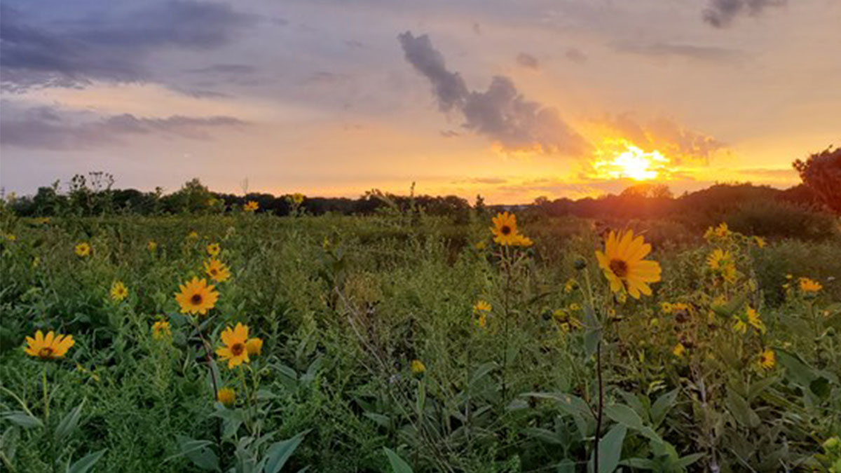 Spring Equinox Sunset Hike at Rollins Savanna