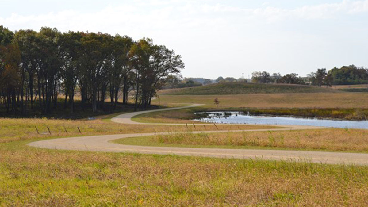 Restoration Workday: Pine Dunes