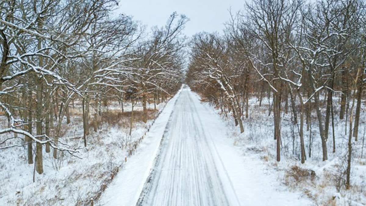 Sunday Stroll: Raven Glen