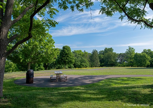 Senior Series: Walk at Lakewood Forest Preserve in Wauconda