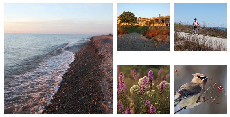 Camping at Adeline Jay Geo-Karis Illinois Beach State Park