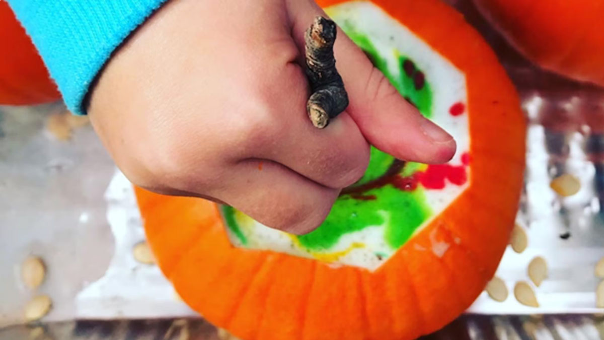 Art and Science Explorers at Elawa Farm