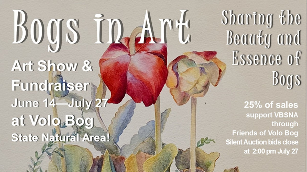 Bogs in Art: Sharing the Beauty and Essence of Bogs at Volo Bog State Natural Area