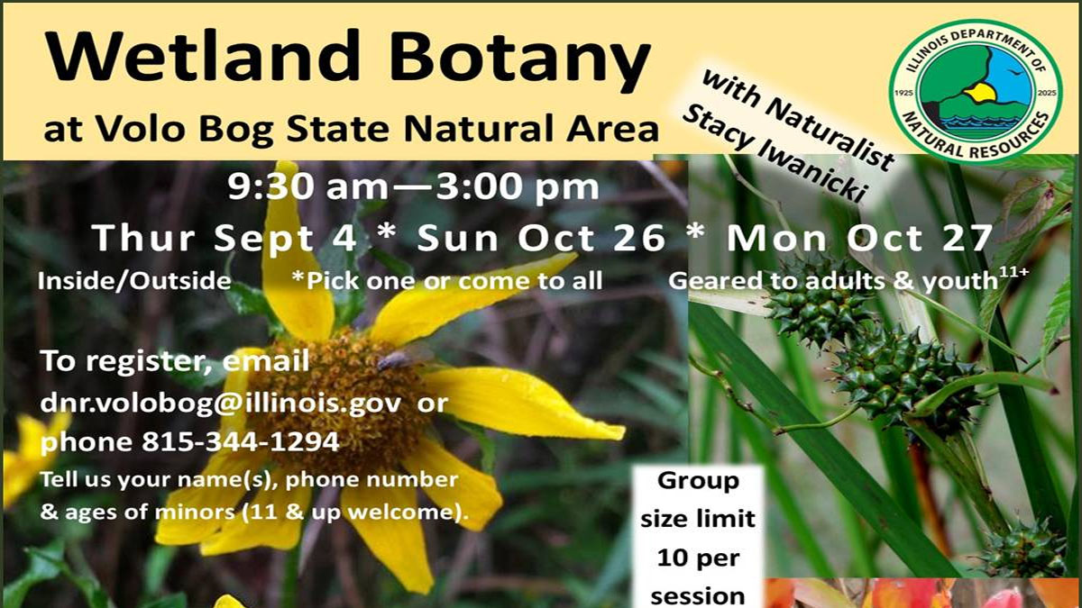 Wetland Botany at Volo Bog State Natural Area