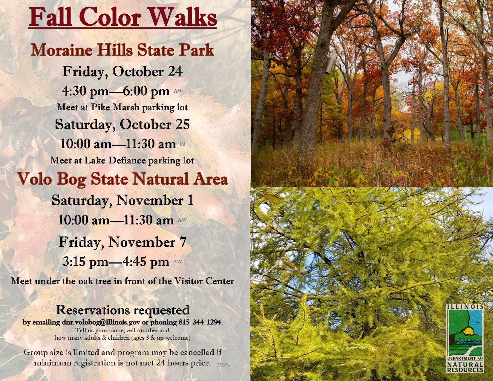 Fall Color Walks at Volo Bog State Natural Area