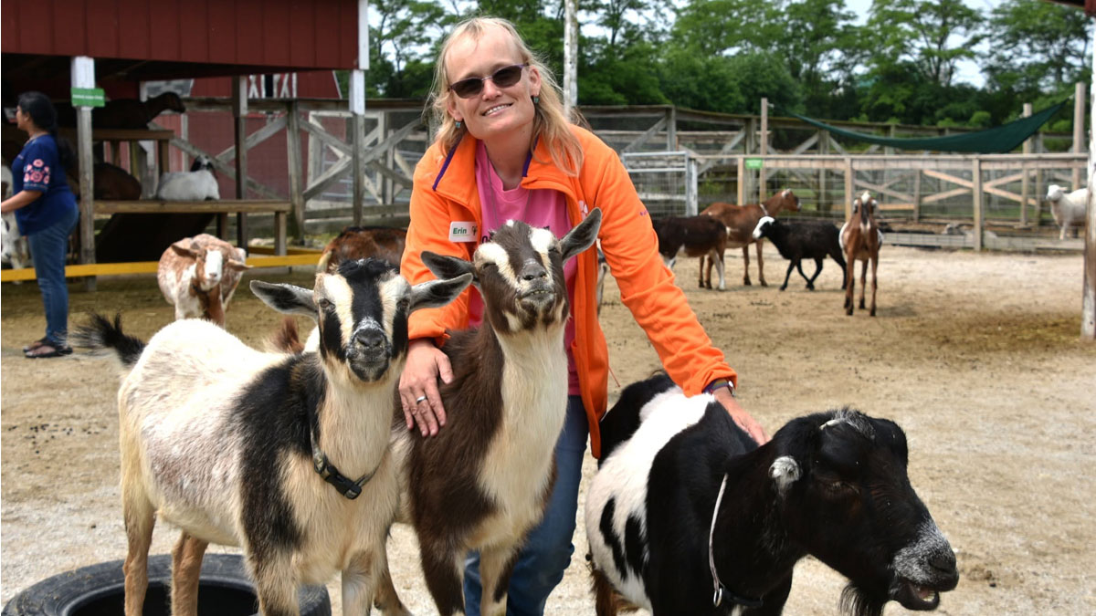 Lambs Farm Farmyard Reopens With New Expansion