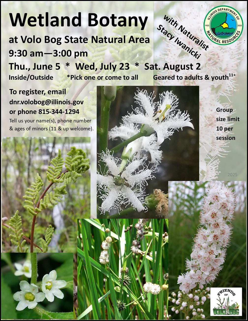 Wetland Botany at Volo Bog State Natural Area