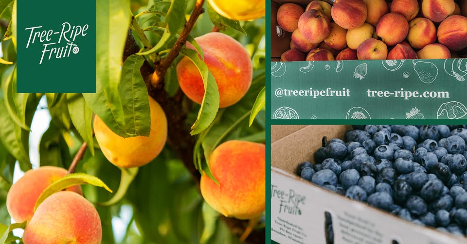 Georgia Peach Stop at Gale Street Inn