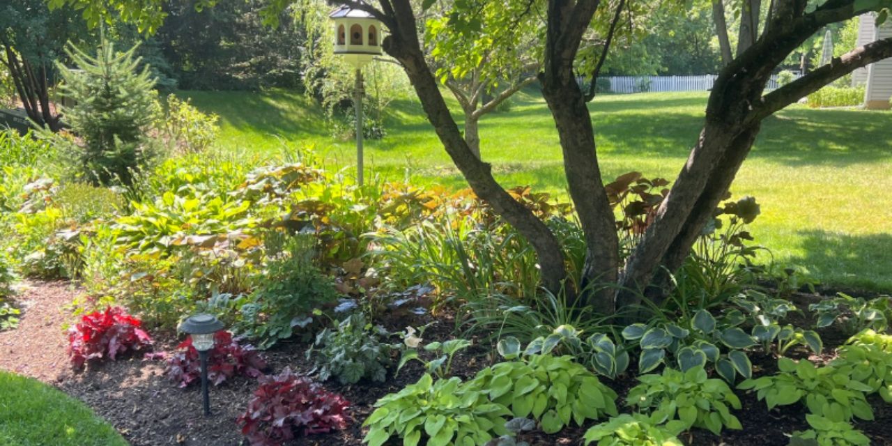Grayslake in Bloom - Community Garden Walk