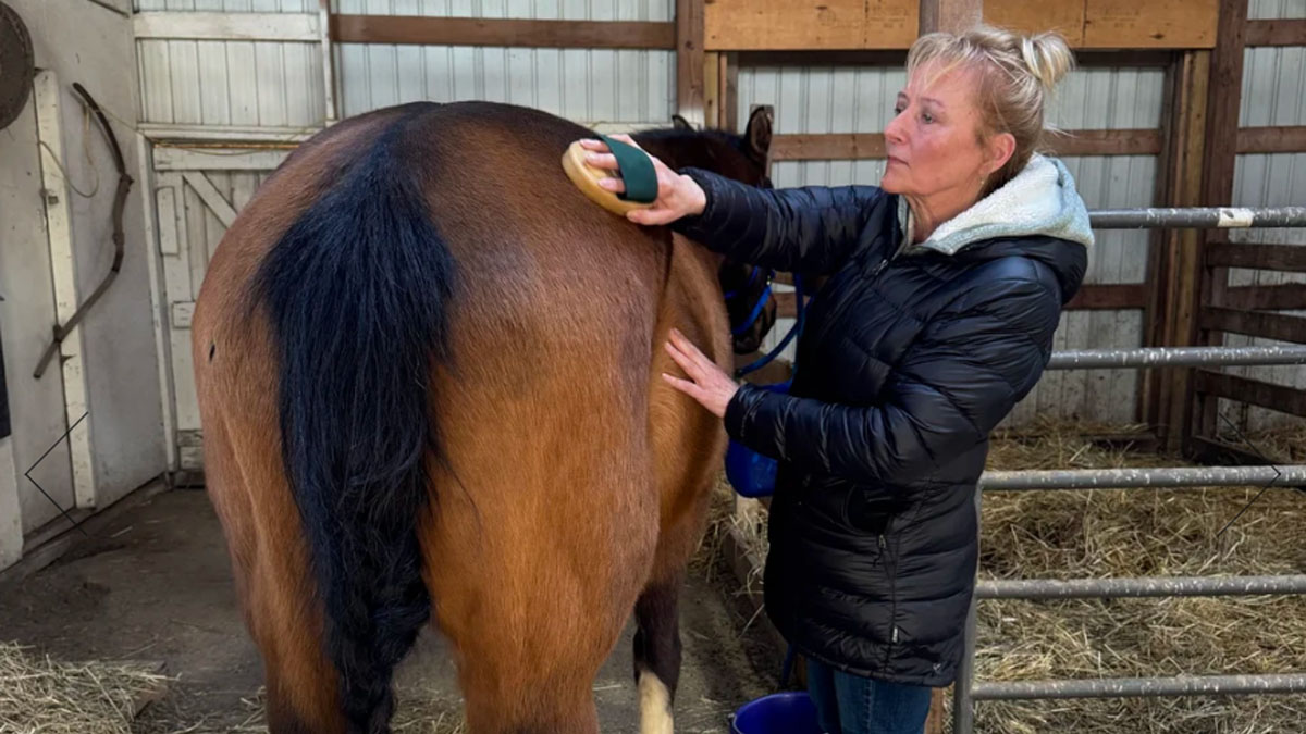 Wellness on the Farm: Grooming, Grounding and Sound Healing at Susanna Farms