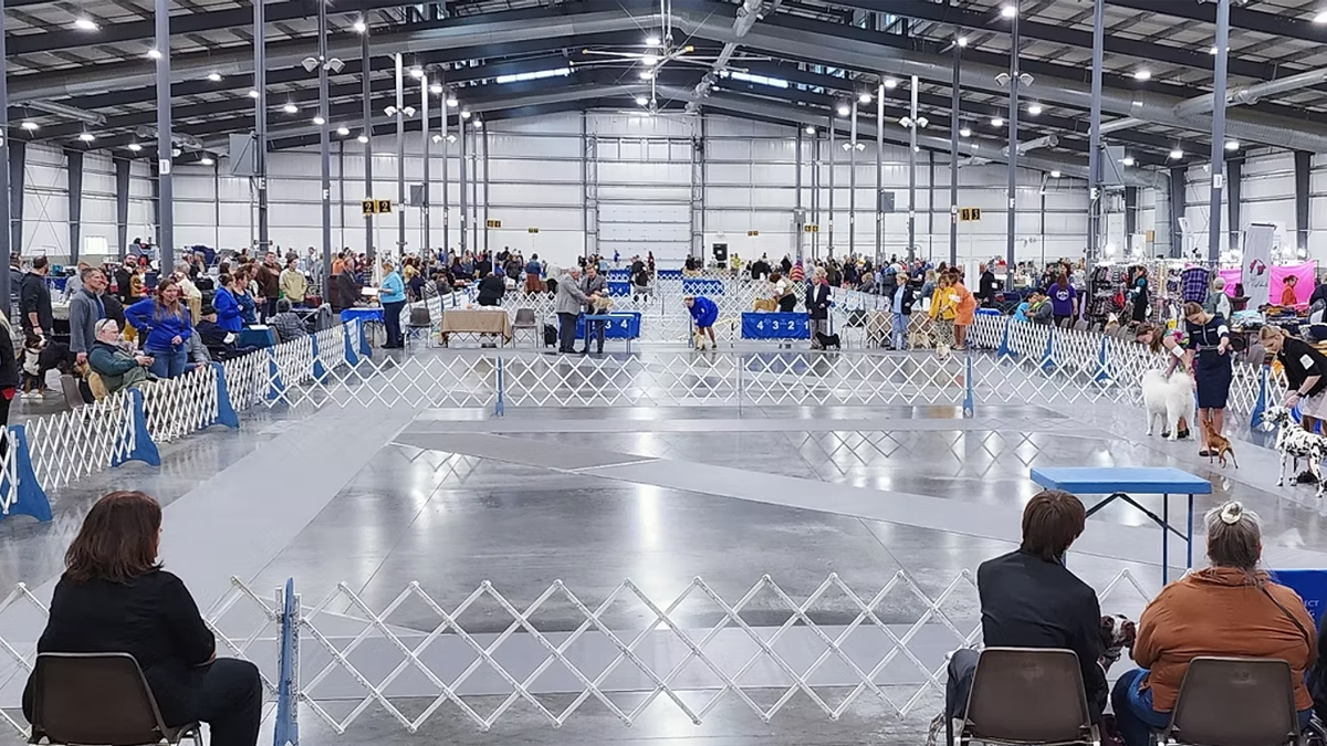 Cool Cluster Dog Show at Lake County Fairgrounds & Event Center