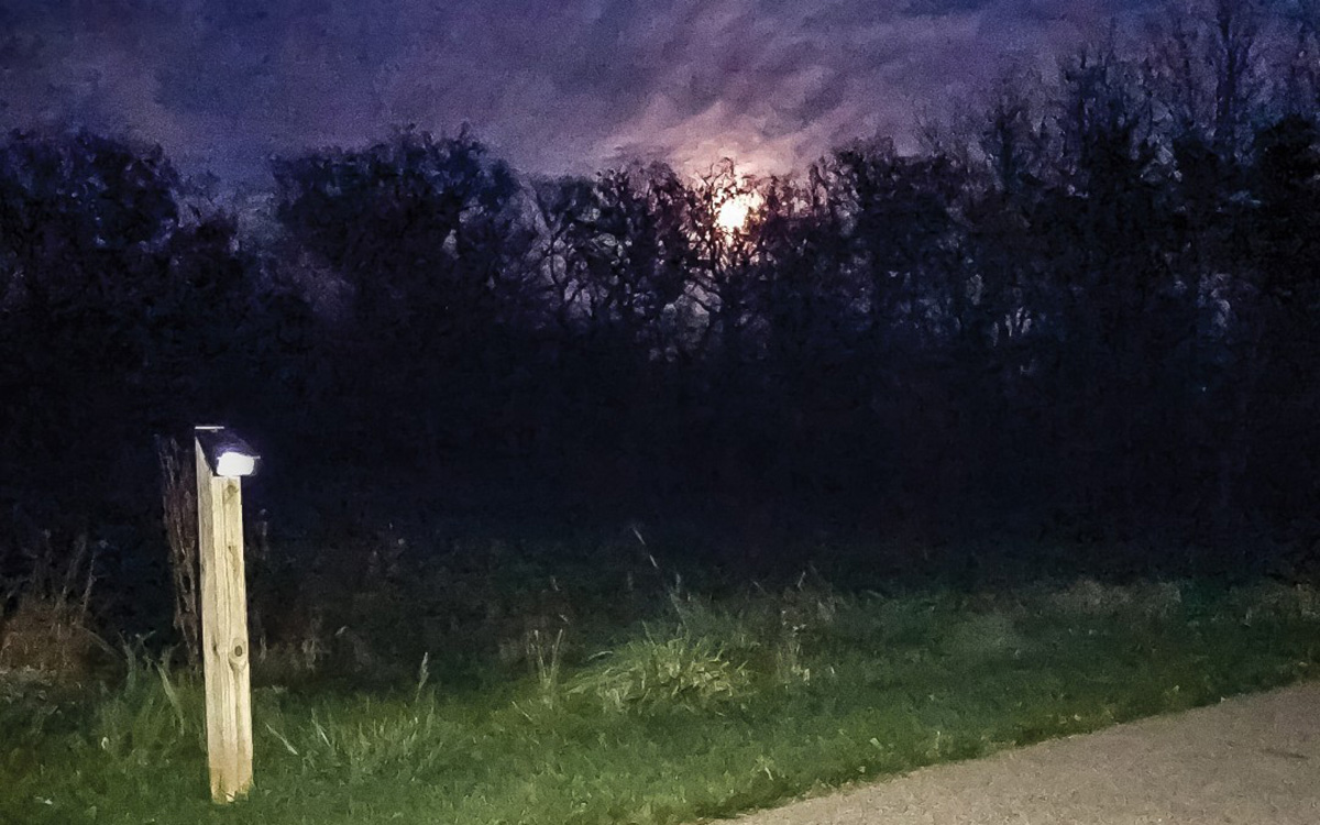 Solar-Lit Trail Hike at Old School Forest Preserve