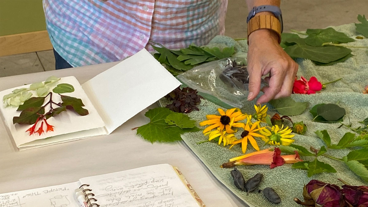 Leaf Printing: Natural Patterns and Colors at Chicago Botanic Garden