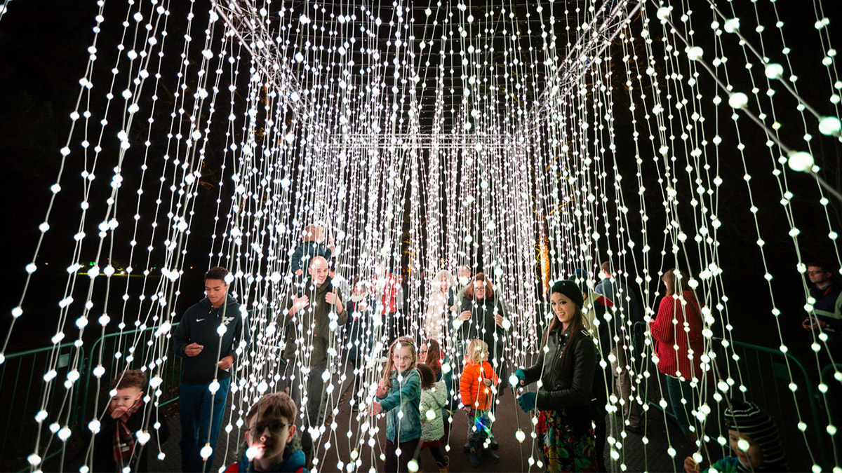 Lightscape at Chicago Botanic Garden