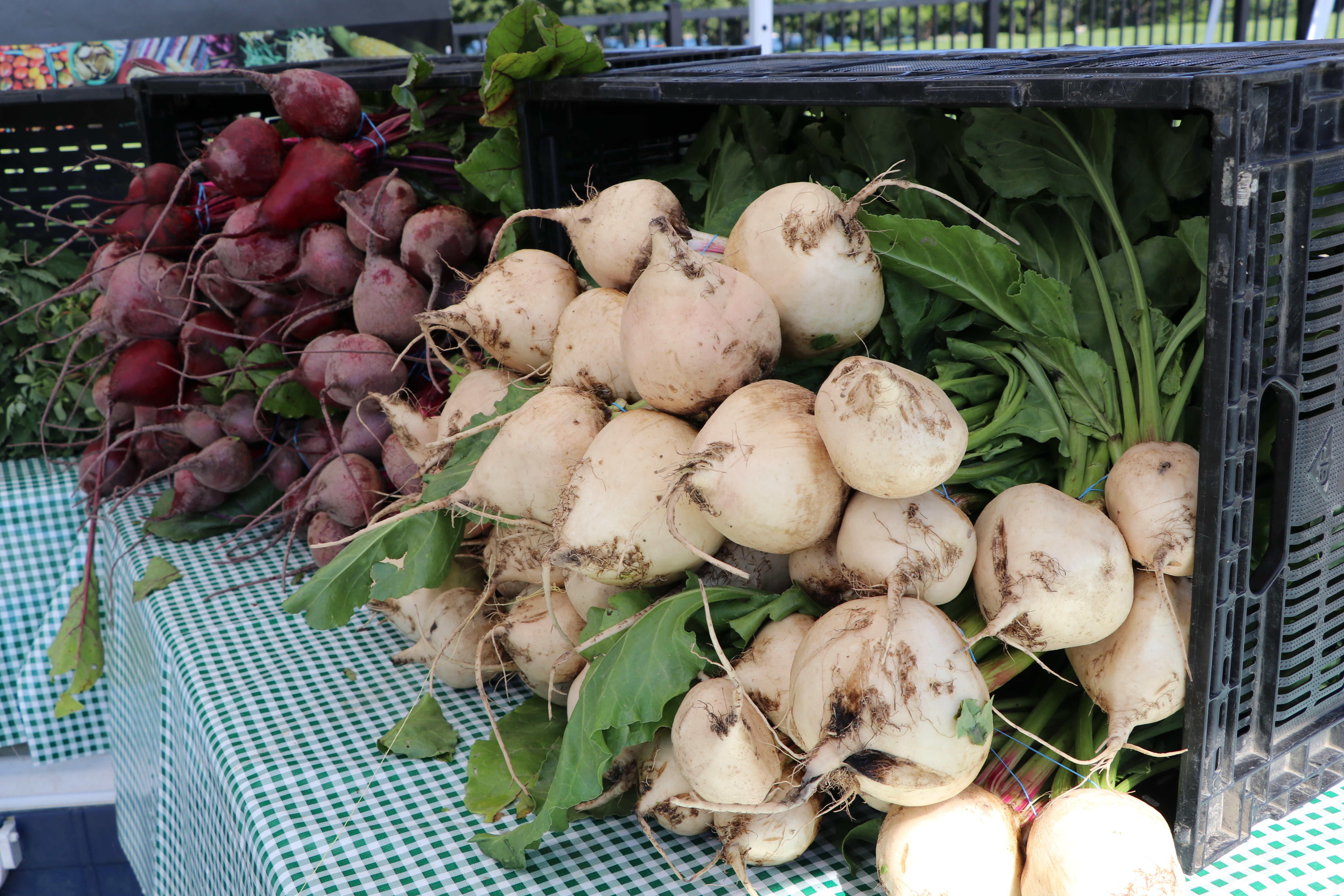 Lake Zurich Farmers Market