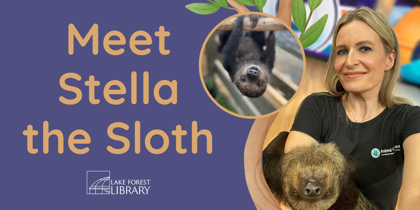 Meet Stella the Sloth
