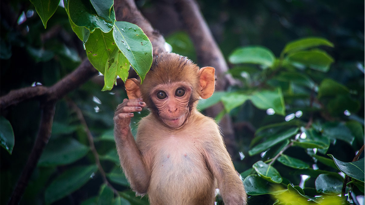 National Geographic: The Greatest Wildlife Photographs at the Dunn Museum