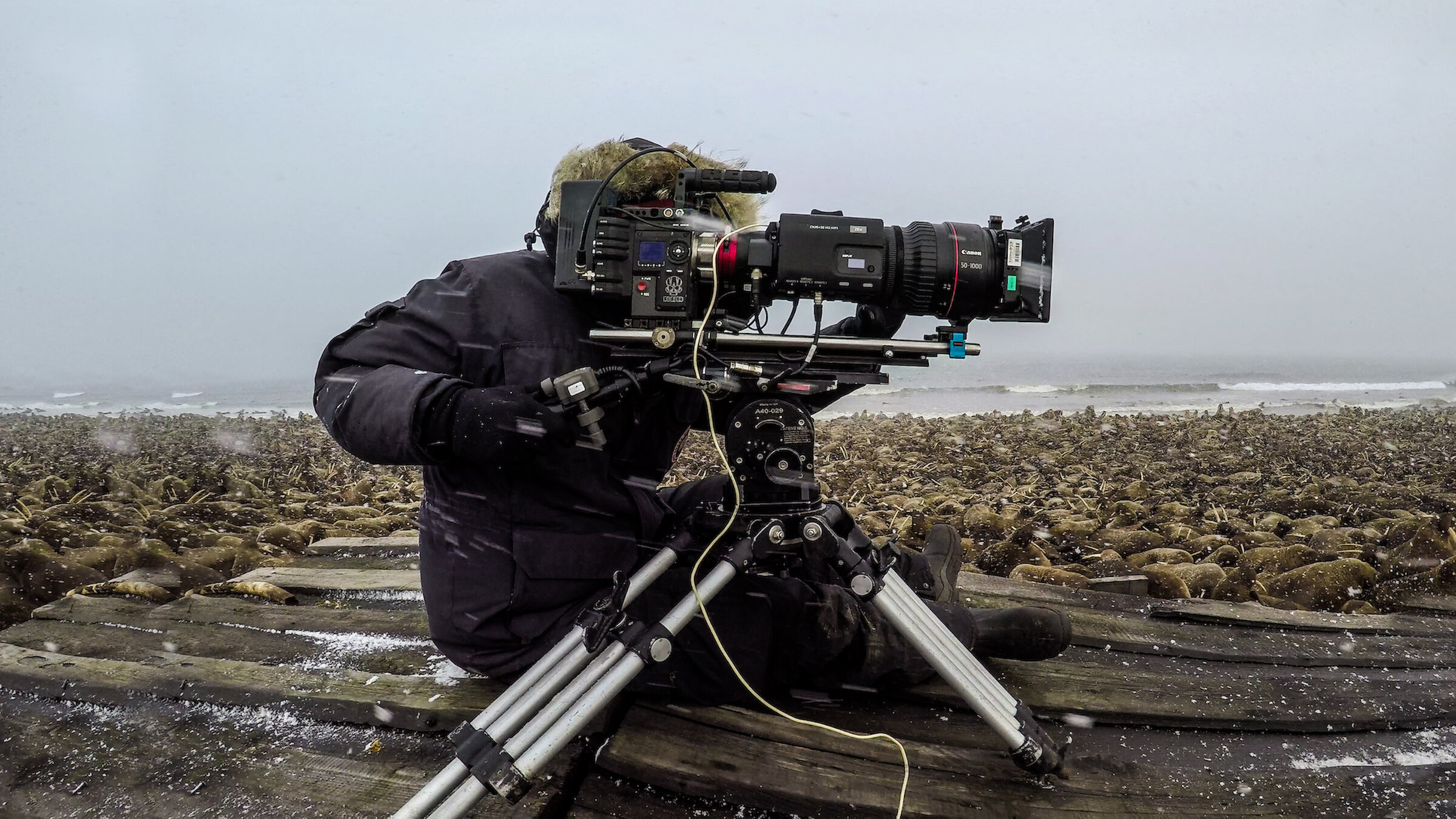 Netflix's The Making of Life on Our Planet at the James Lumber Center 