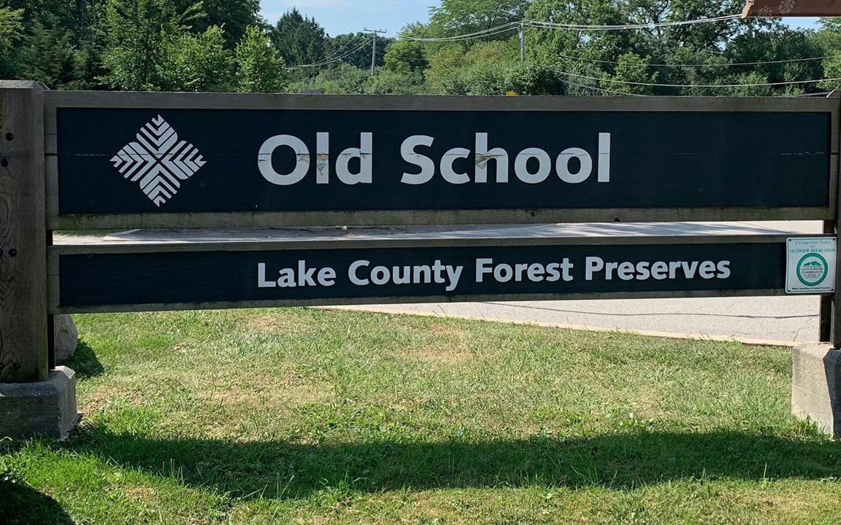 Big Day Bird Walk at Old School Forest Preserve