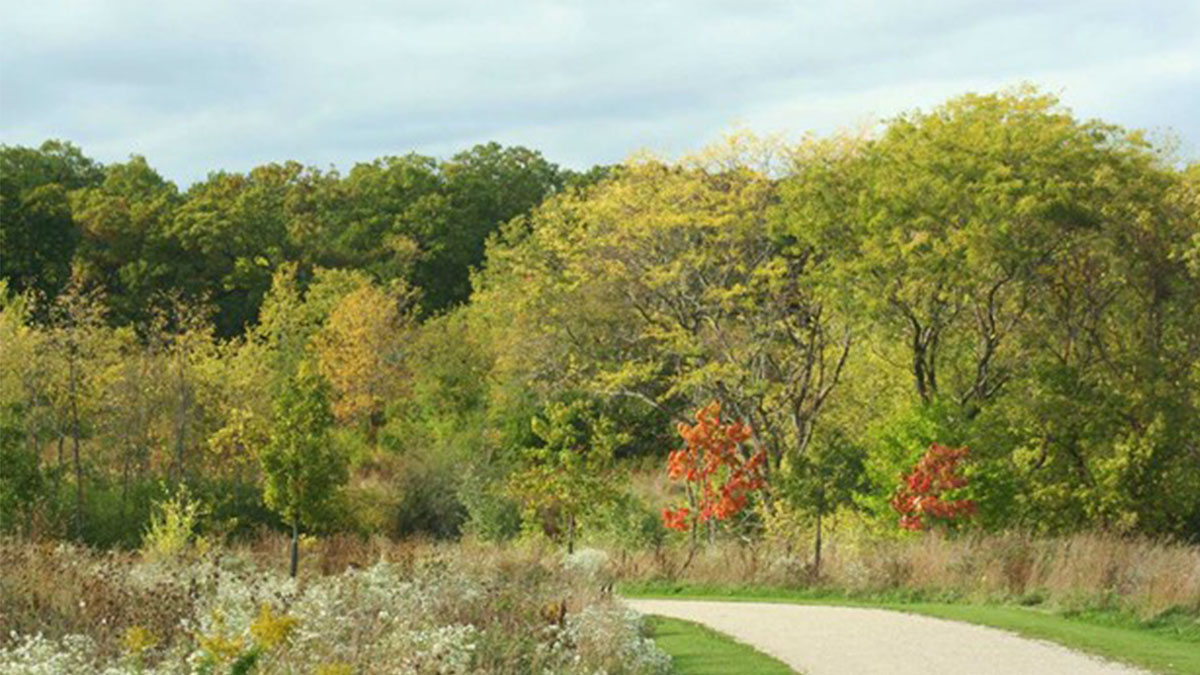 Hike Through History Earth Week: Raven Glen