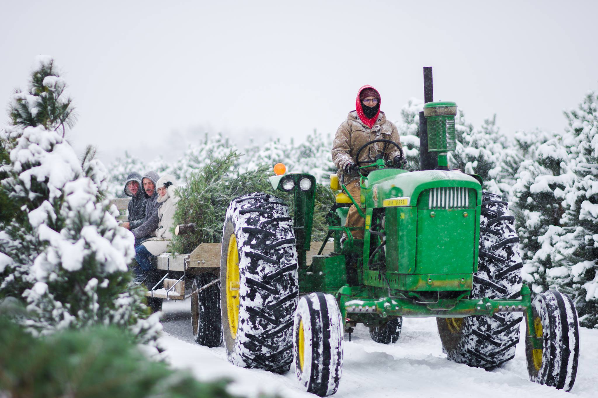 Richardson Christmas Tree Farm and More