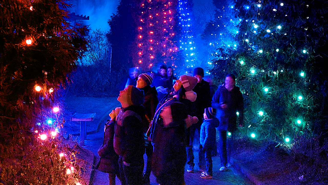 Lightscape at Chicago Botanic Garden