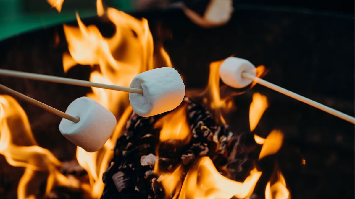 Explore S'more Campfires at Millard Beach